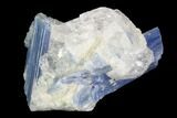 Vibrant Blue Kyanite Crystal Cluster - Brazil #97949-1